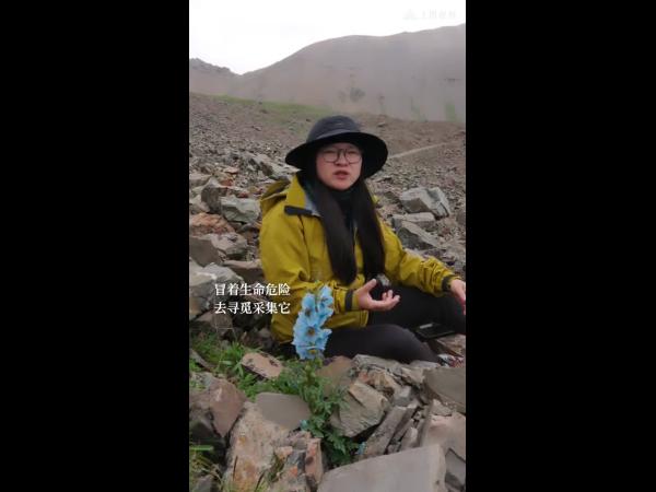 让世界为之震颤的花,开在贫瘠里,开在严寒里,开在不可能里