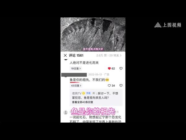人类真是由鱼变的吗?为什么从来没有发现“鱼人”化石? #科普 #生命科学 #古生物学#科学高光故事集